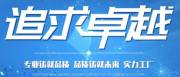 泉州*閣電(dian)子(zi)有(yǒu)限(xian)公(gōng)司網站建(jian)設(shè)創意網站效果展(zhan)示