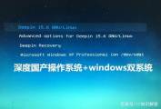 關于(yu)在(zai)Linux操作(zuò)係(xi)統環境中(zhong)深度探索如何高(gao)效部(bu)署Apache網絡服務(wu)